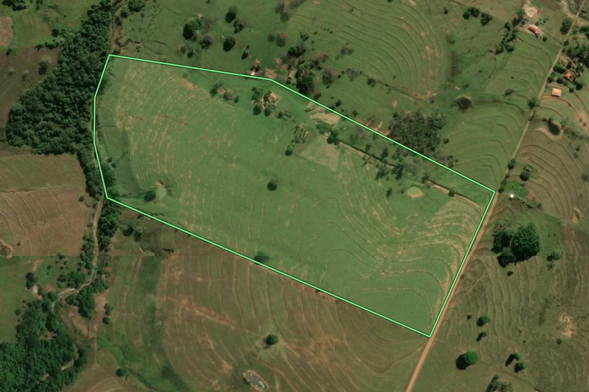 Imagem de satélite do imóvel rural em Alfredo Marcondes (SP), com o contorno declarado no CAR desenhado por cima.