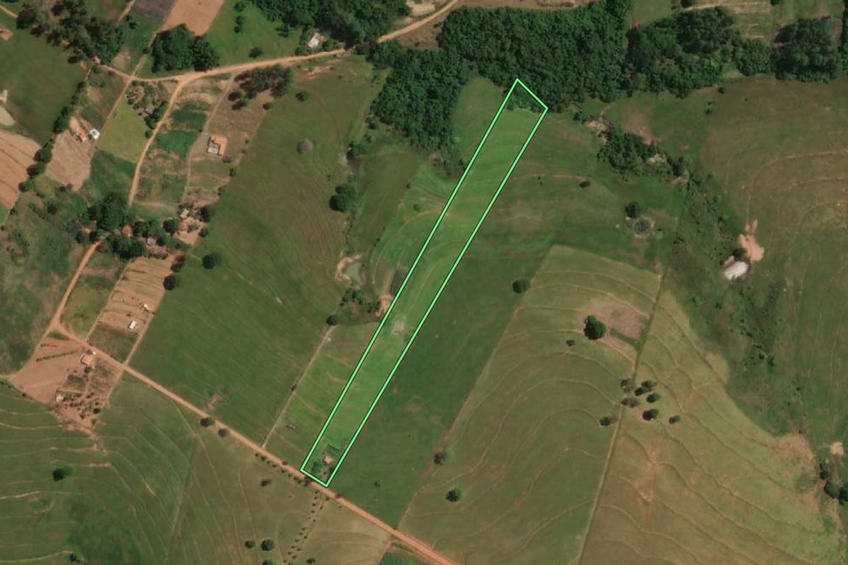 Imagem de satélite do imóvel rural em Alfredo Marcondes (SP), com o contorno declarado no CAR desenhado por cima.