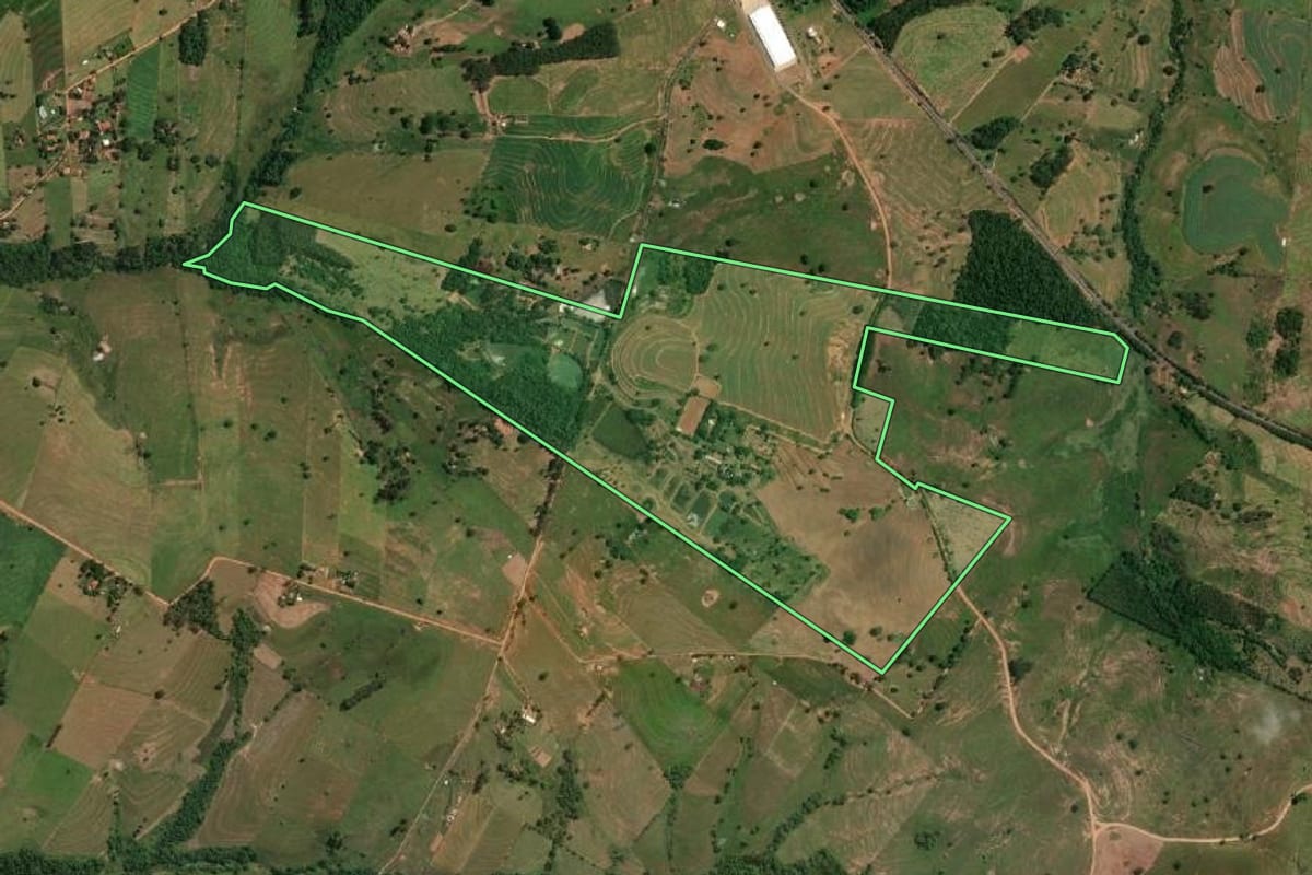 Imagem de satélite do imóvel rural em Alfredo Marcondes (SP), com o contorno declarado no CAR desenhado por cima.