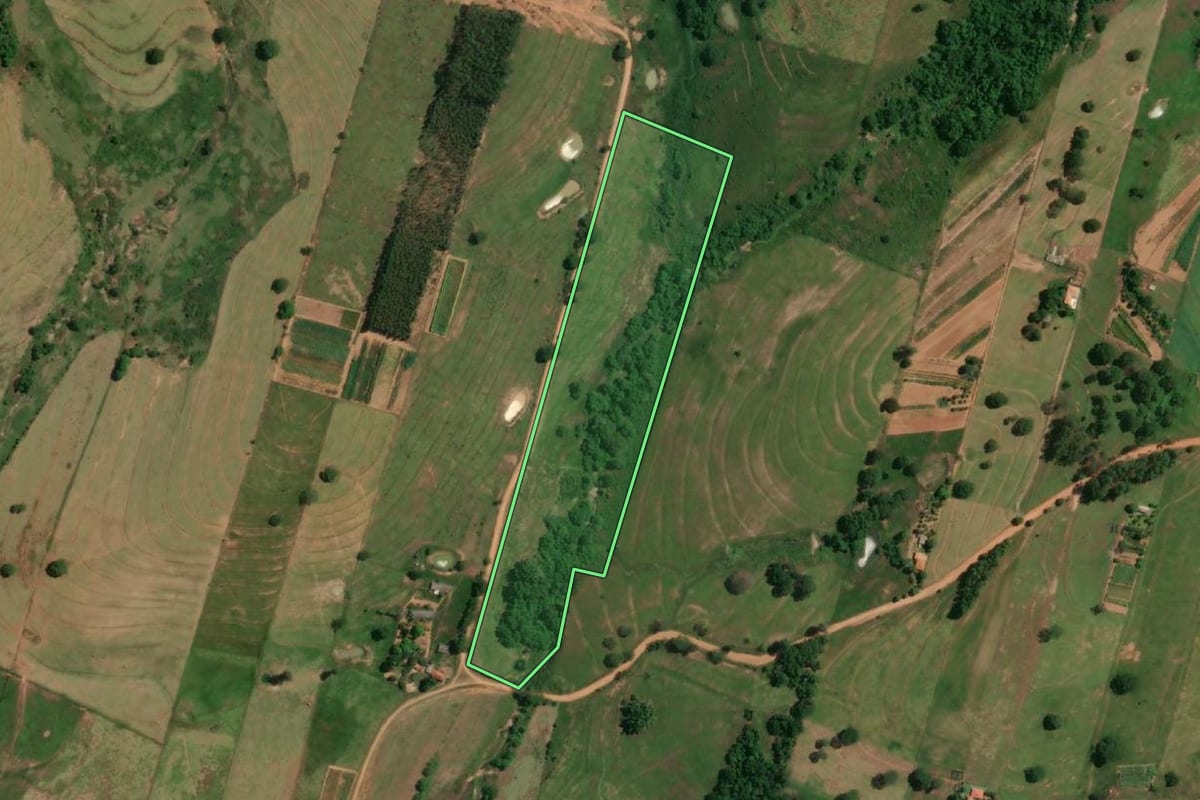 Imagem de satélite do imóvel rural em Alfredo Marcondes (SP), com o contorno declarado no CAR desenhado por cima.