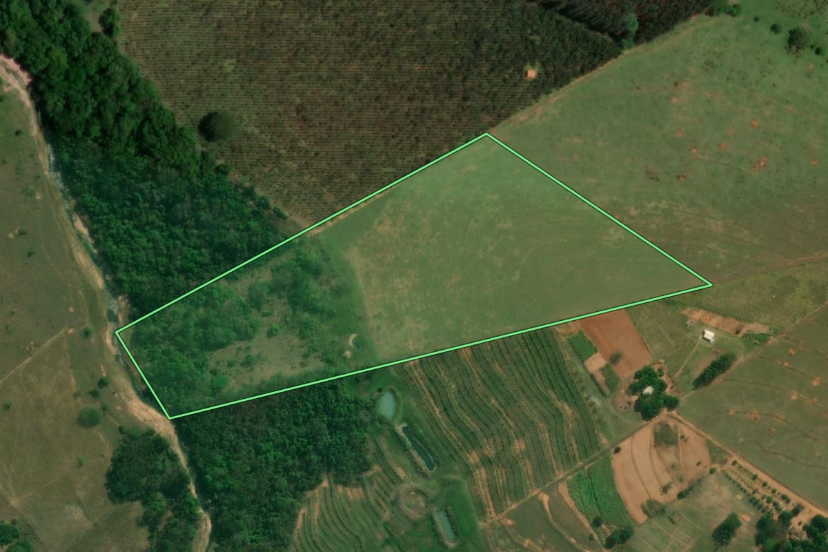 Imagem de satélite do imóvel rural em Alfredo Marcondes (SP), com o contorno declarado no CAR desenhado por cima.