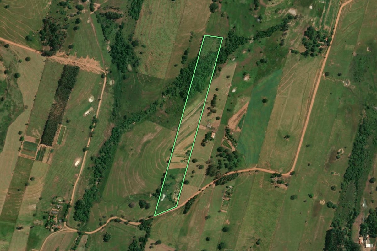Imagem de satélite do imóvel rural em Alfredo Marcondes (SP), com o contorno declarado no CAR desenhado por cima.