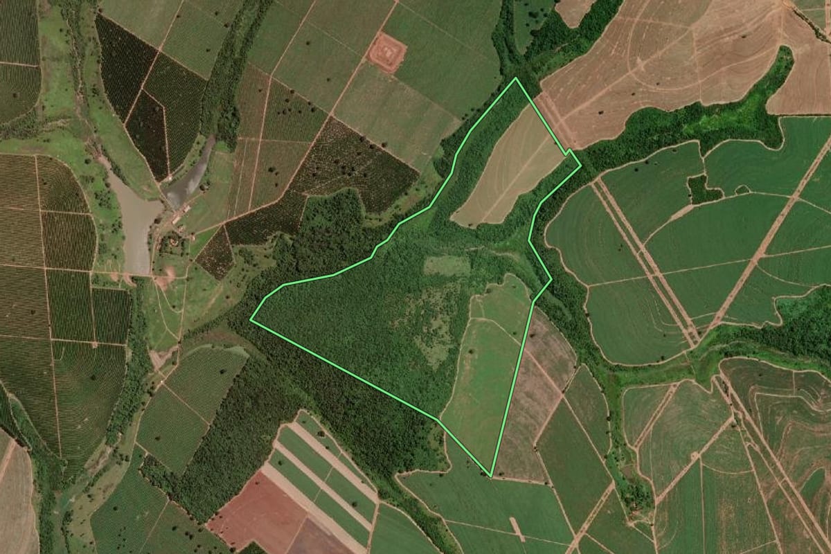 Imagem de satélite do imóvel rural em Altair (SP), com o contorno declarado no CAR desenhado por cima.