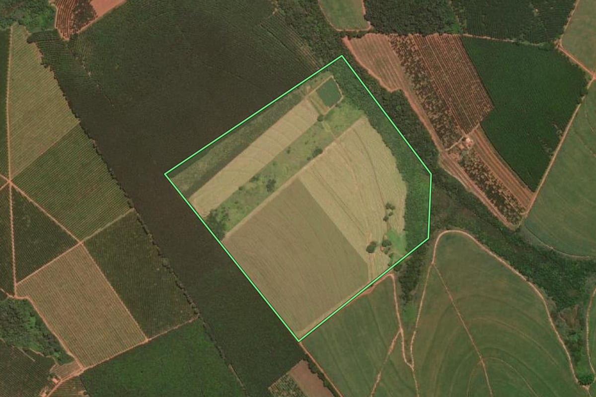 Imagem de satélite do imóvel rural em Altair (SP), com o contorno declarado no CAR desenhado por cima.