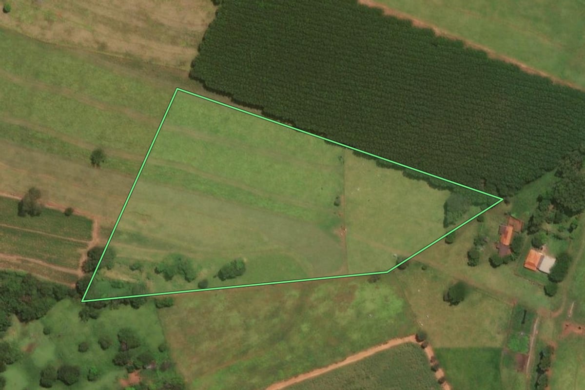 Imagem de satélite do imóvel rural em Altair (SP), com o contorno declarado no CAR desenhado por cima.