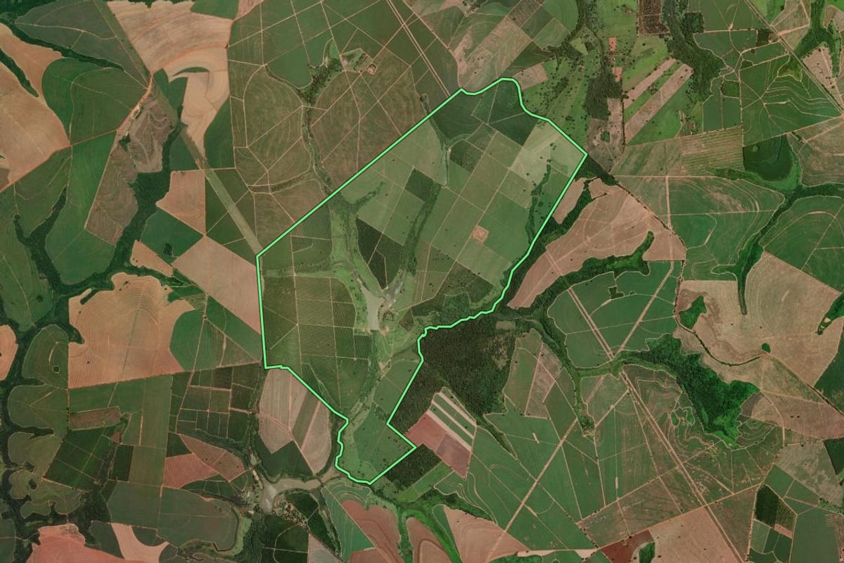 Imagem de satélite do imóvel rural em Altair (SP), com o contorno declarado no CAR desenhado por cima.