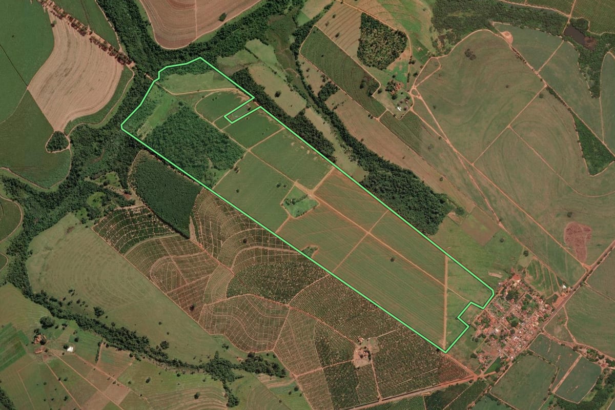 Imagem de satélite do imóvel rural em Altair (SP), com o contorno declarado no CAR desenhado por cima.