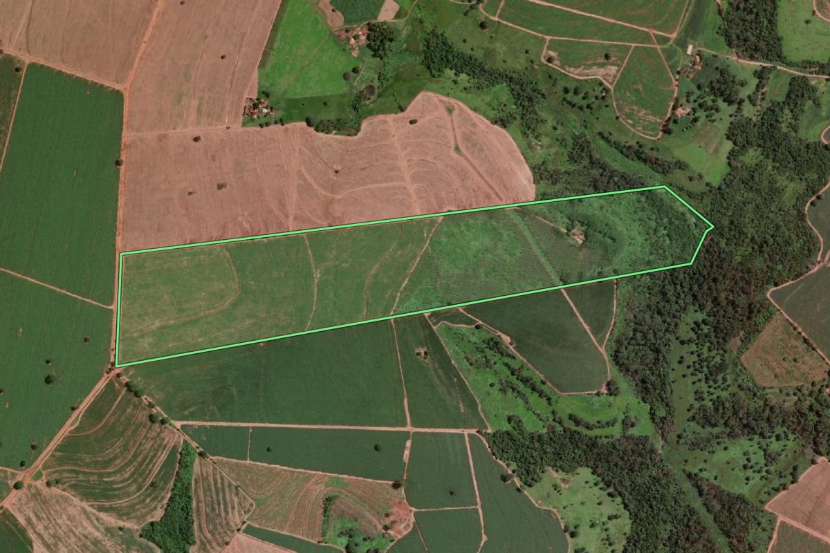 Imagem de satélite do imóvel rural em Altair (SP), com o contorno declarado no CAR desenhado por cima.