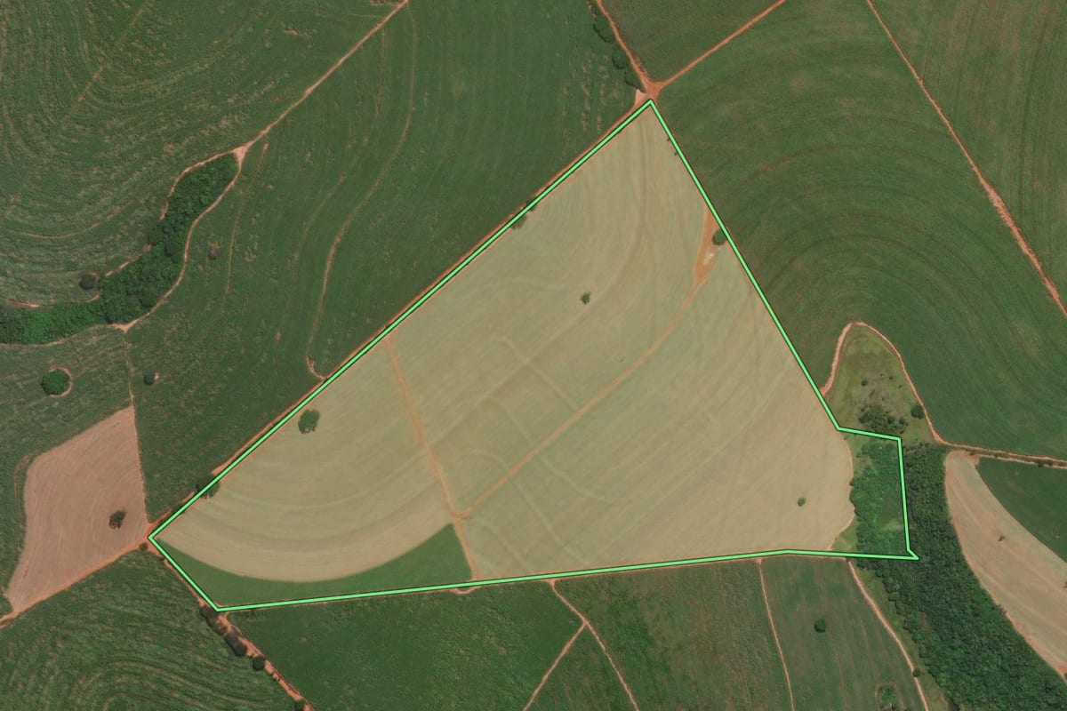 Imagem de satélite do imóvel rural em Altair (SP), com o contorno declarado no CAR desenhado por cima.