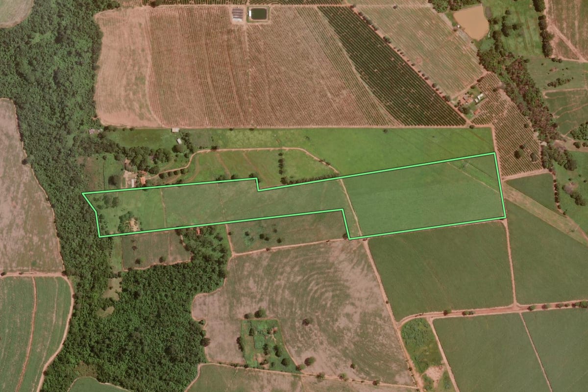 Imagem de satélite do imóvel rural em Altair (SP), com o contorno declarado no CAR desenhado por cima.