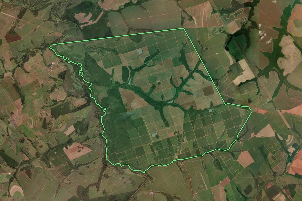 Imagem de satélite do imóvel rural em Altair (SP), com o contorno declarado no CAR desenhado por cima.