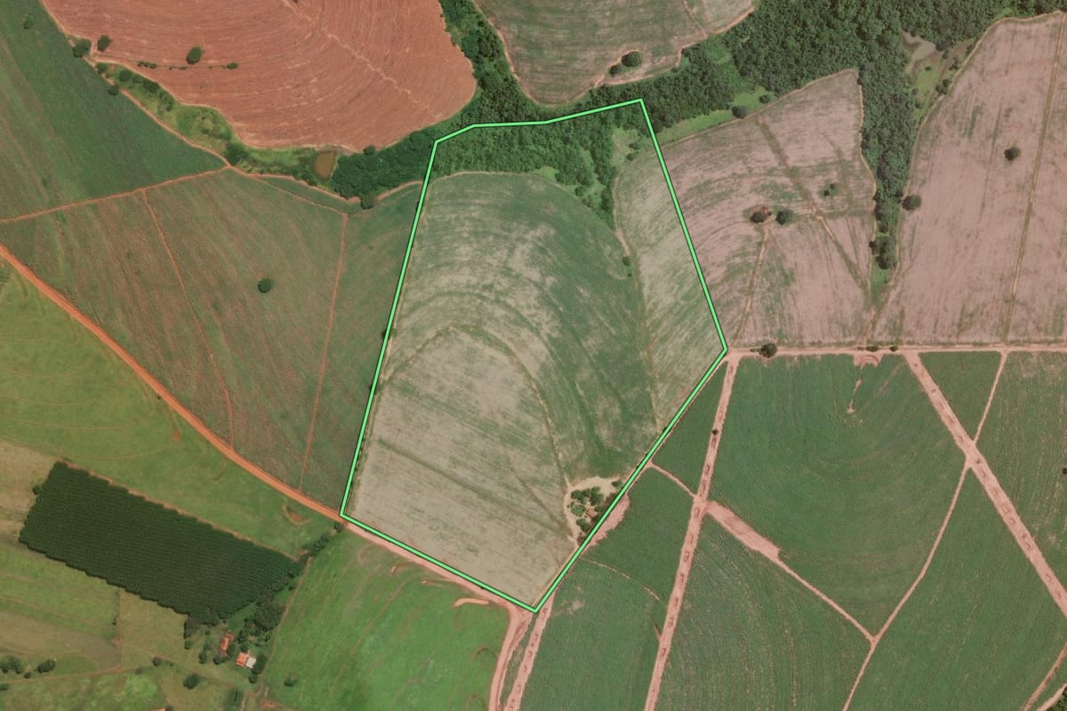 Imagem de satélite do imóvel rural em Altair (SP), com o contorno declarado no CAR desenhado por cima.