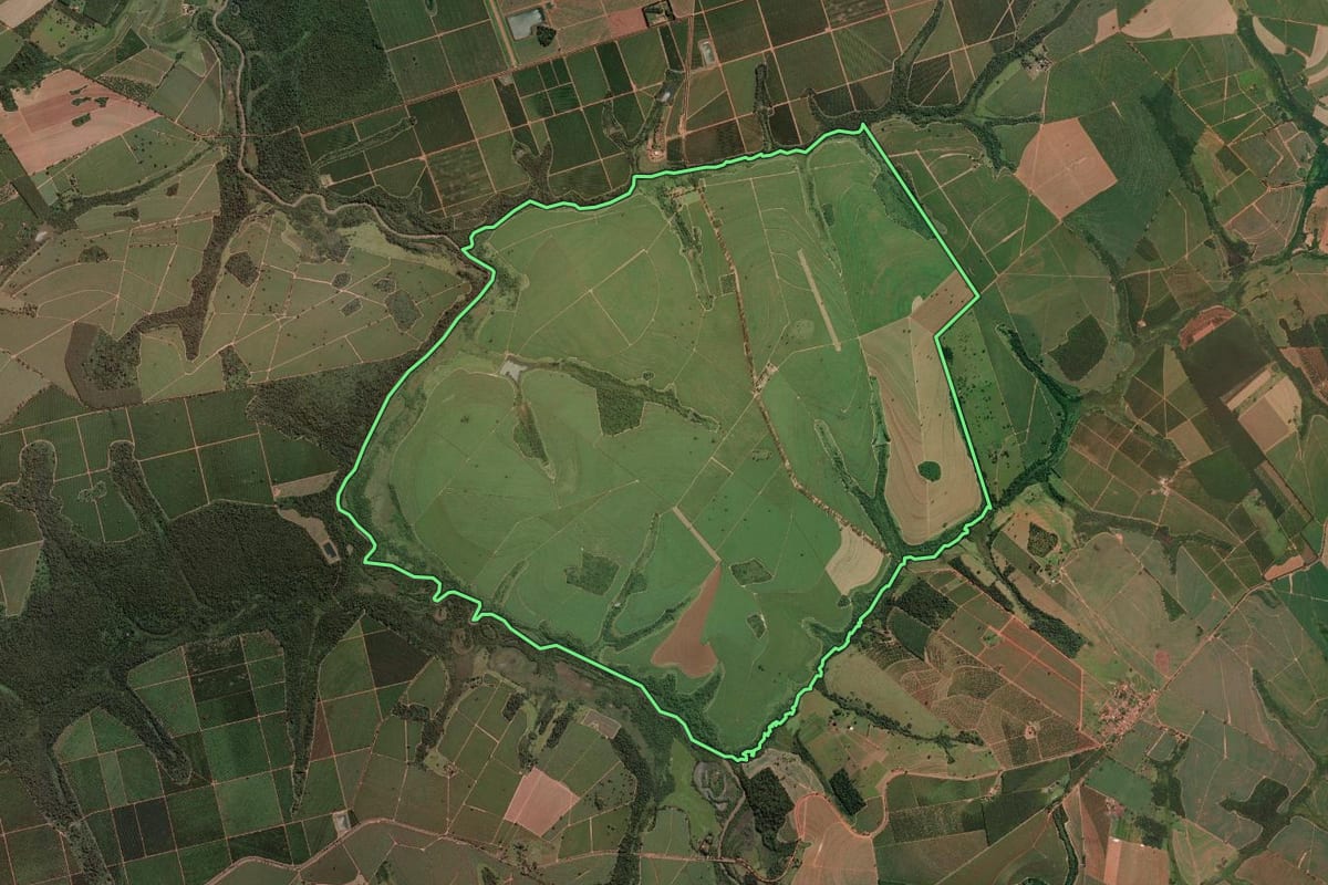 Imagem de satélite do imóvel rural em Altair (SP), com o contorno declarado no CAR desenhado por cima.