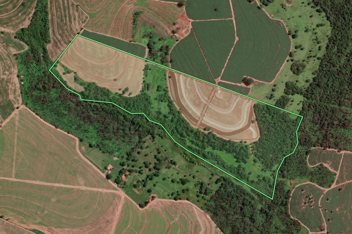 Imagem de satélite do imóvel rural em Altair (SP), com o contorno declarado no CAR desenhado por cima.