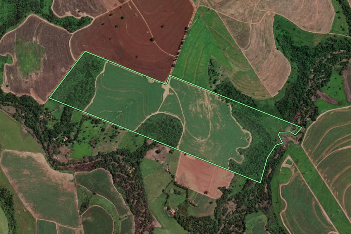 Imagem de satélite do imóvel rural em Altair (SP), com o contorno declarado no CAR desenhado por cima.