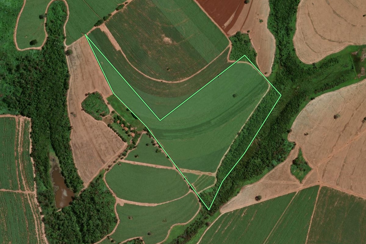 Imagem de satélite do imóvel rural em Altair (SP), com o contorno declarado no CAR desenhado por cima.