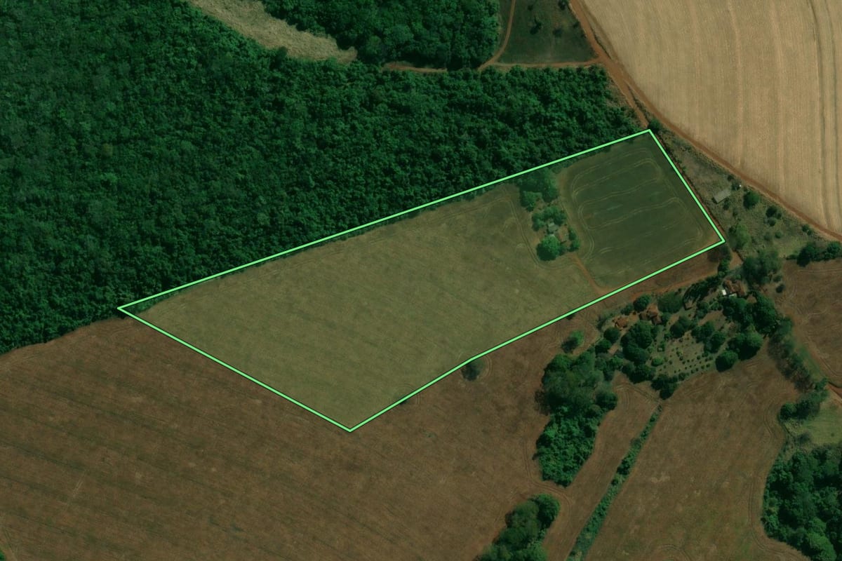 Imagem de satélite do imóvel rural em Altinópolis (SP), com o contorno declarado no CAR desenhado por cima.
