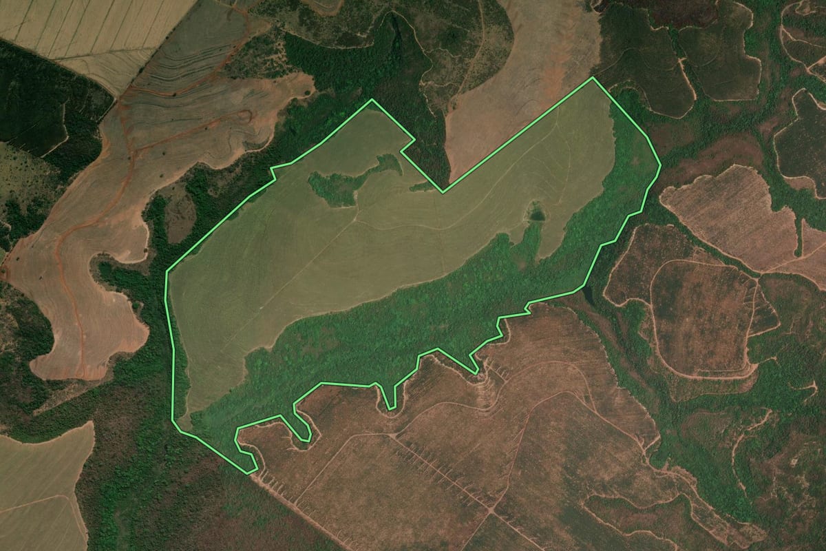 Imagem de satélite do imóvel rural em Altinópolis (SP), com o contorno declarado no CAR desenhado por cima.