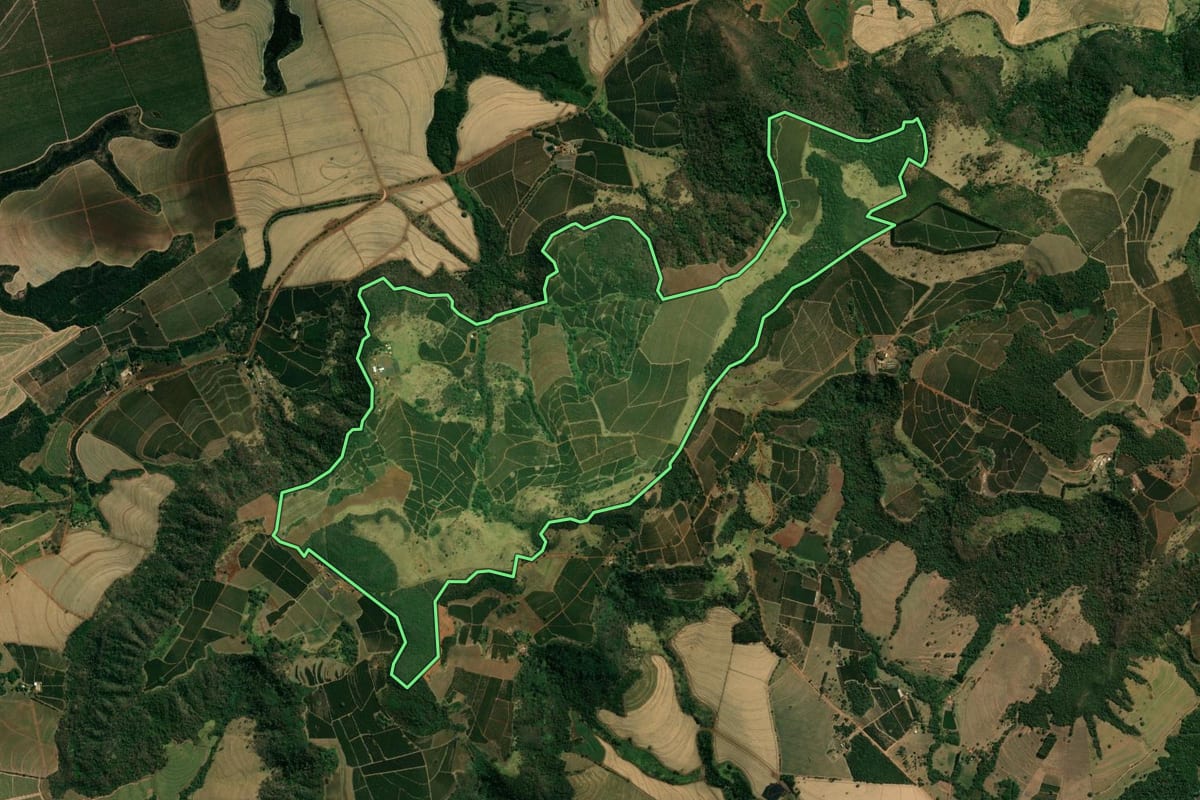 Imagem de satélite do imóvel rural em Altinópolis (SP), com o contorno declarado no CAR desenhado por cima.