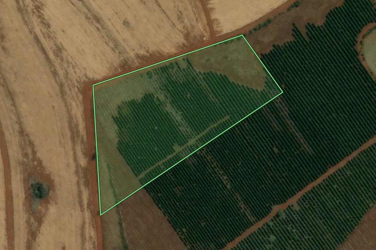 Imagem de satélite do imóvel rural em Altinópolis (SP), com o contorno declarado no CAR desenhado por cima.