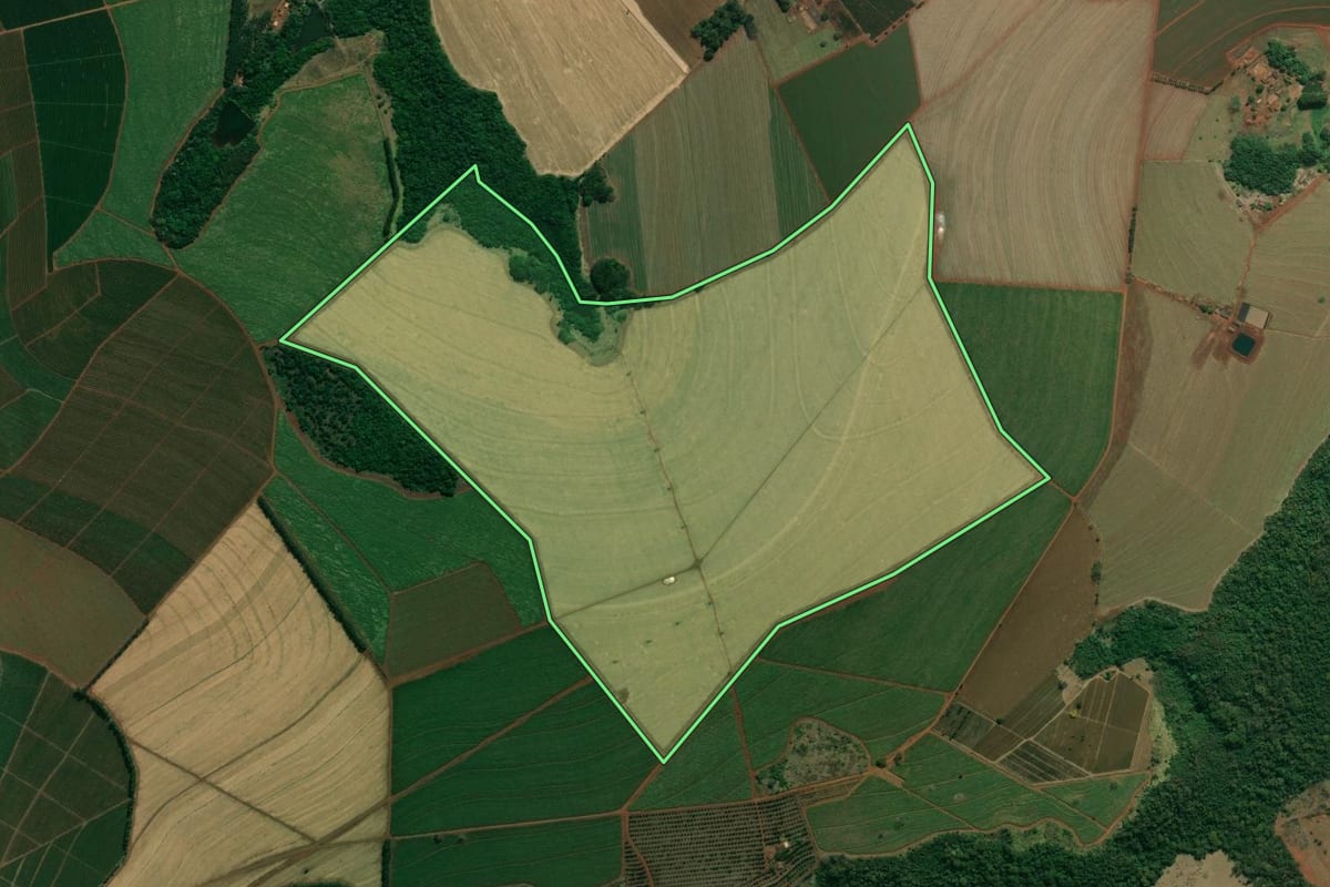 Imagem de satélite do imóvel rural em Altinópolis (SP), com o contorno declarado no CAR desenhado por cima.