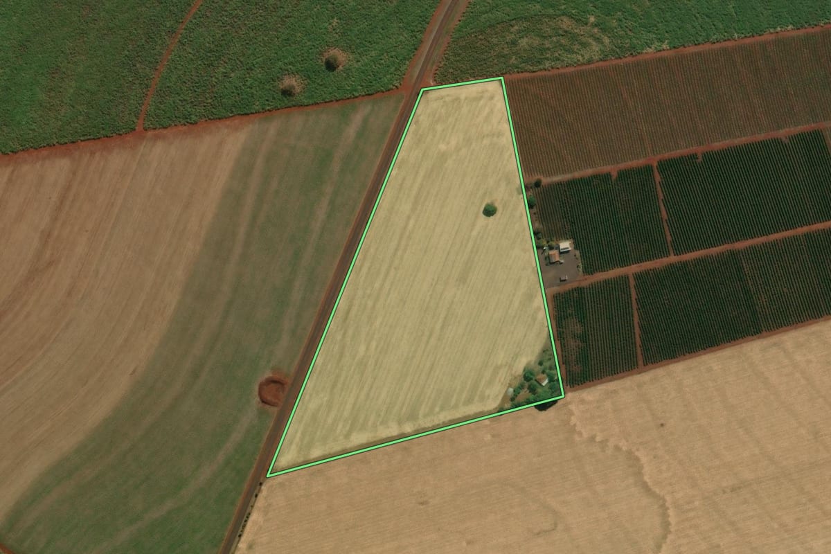 Imagem de satélite do imóvel rural em Altinópolis (SP), com o contorno declarado no CAR desenhado por cima.