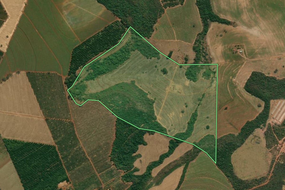 Imagem de satélite do imóvel rural em Altinópolis (SP), com o contorno declarado no CAR desenhado por cima.
