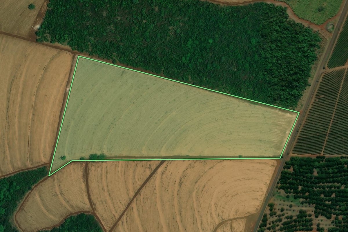 Imagem de satélite do imóvel rural em Altinópolis (SP), com o contorno declarado no CAR desenhado por cima.