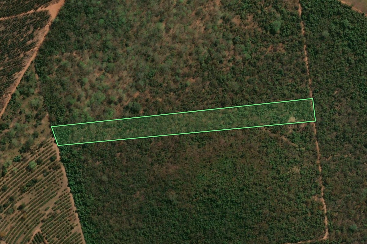 Imagem de satélite do imóvel rural em Altinópolis (SP), com o contorno declarado no CAR desenhado por cima.