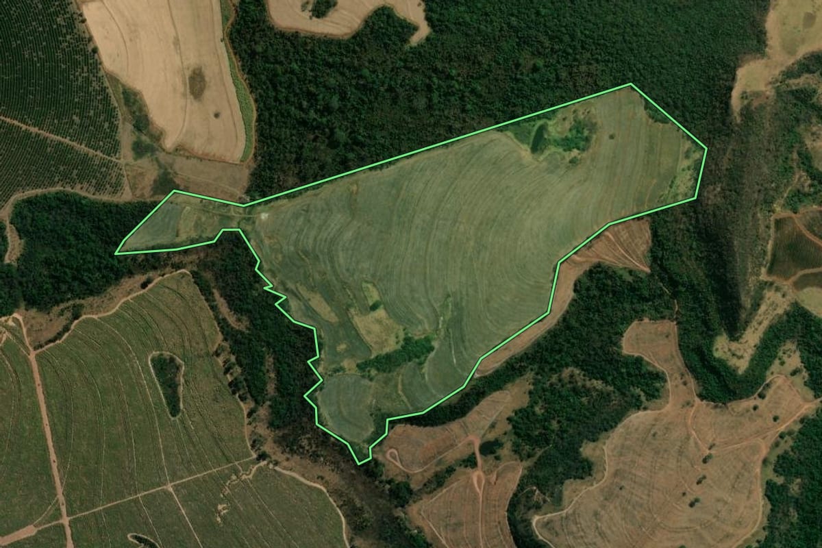 Imagem de satélite do imóvel rural em Altinópolis (SP), com o contorno declarado no CAR desenhado por cima.