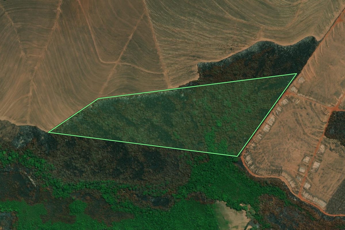 Imagem de satélite do imóvel rural em Altinópolis (SP), com o contorno declarado no CAR desenhado por cima.