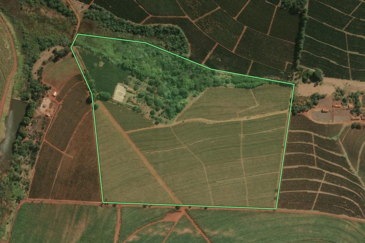 Imagem de satélite do imóvel rural em Altinópolis (SP), com o contorno declarado no CAR desenhado por cima.