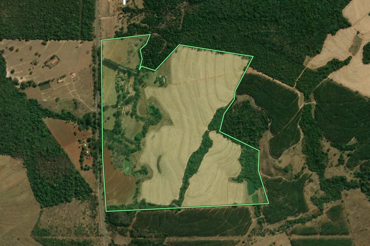 Imagem de satélite do imóvel rural em Altinópolis (SP), com o contorno declarado no CAR desenhado por cima.