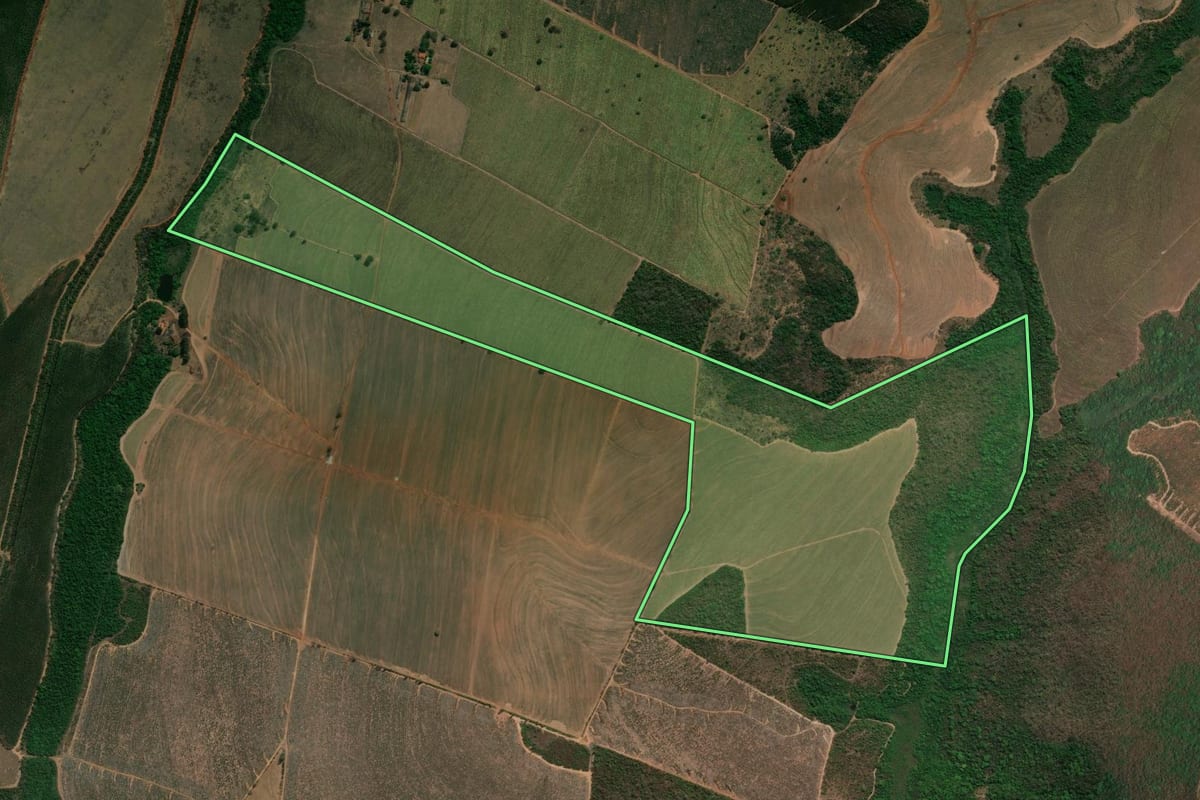Imagem de satélite do imóvel rural em Altinópolis (SP), com o contorno declarado no CAR desenhado por cima.