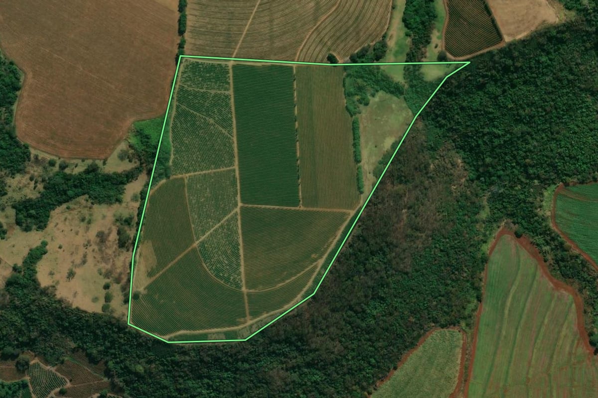 Imagem de satélite do imóvel rural em Altinópolis (SP), com o contorno declarado no CAR desenhado por cima.