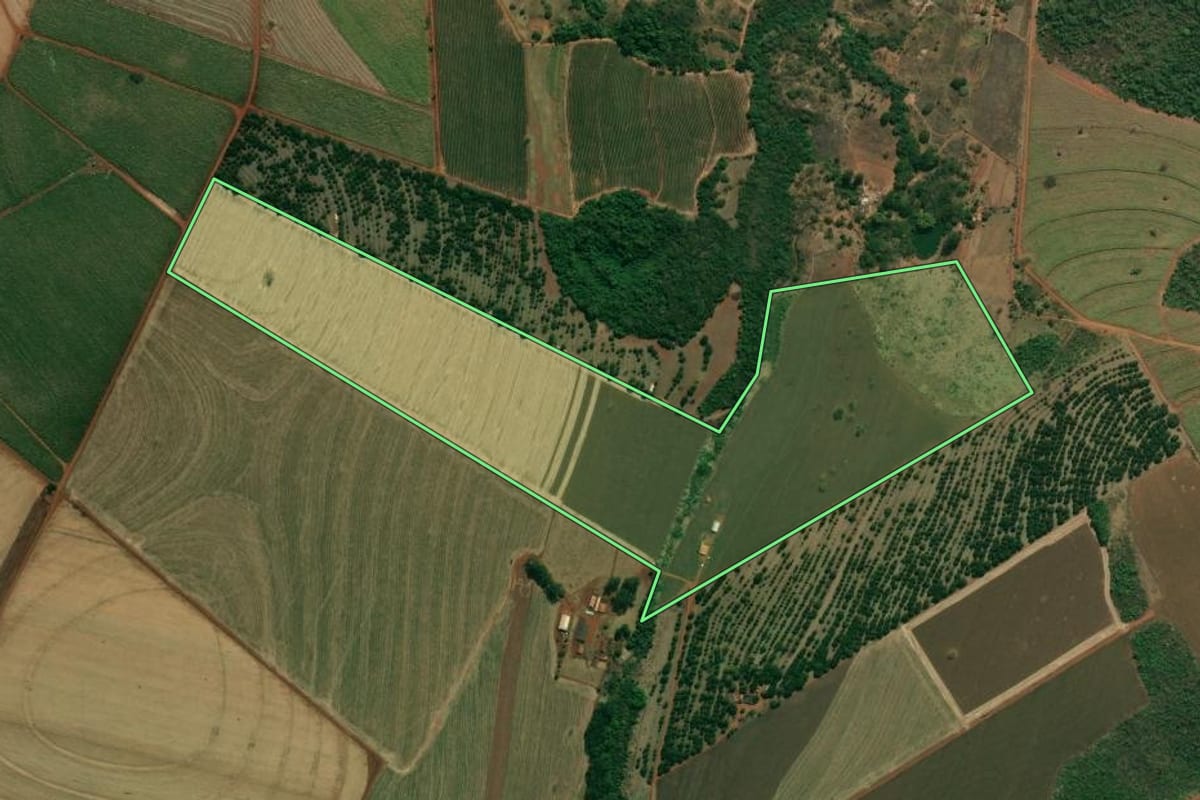Imagem de satélite do imóvel rural em Altinópolis (SP), com o contorno declarado no CAR desenhado por cima.
