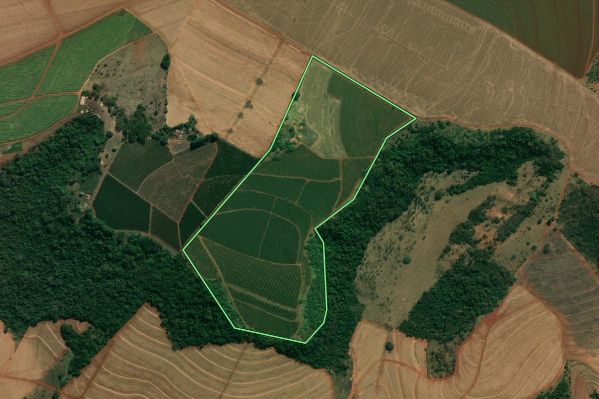 Imagem de satélite do imóvel rural em Altinópolis (SP), com o contorno declarado no CAR desenhado por cima.