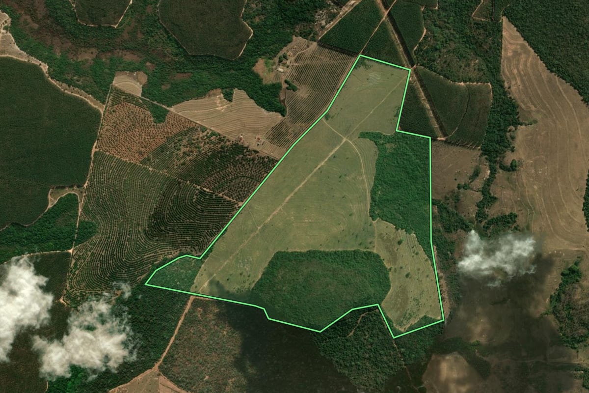 Imagem de satélite do imóvel rural em Altinópolis (SP), com o contorno declarado no CAR desenhado por cima.