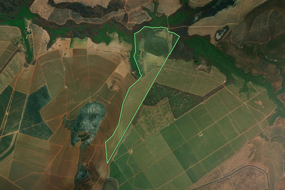 Imagem de satélite do imóvel rural em Altinópolis (SP), com o contorno declarado no CAR desenhado por cima.