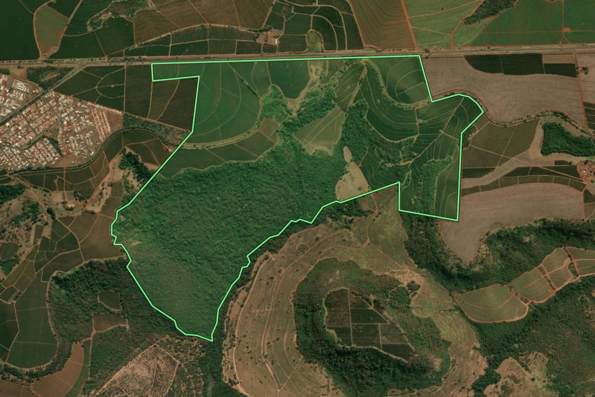 Imagem de satélite do imóvel rural em Altinópolis (SP), com o contorno declarado no CAR desenhado por cima.