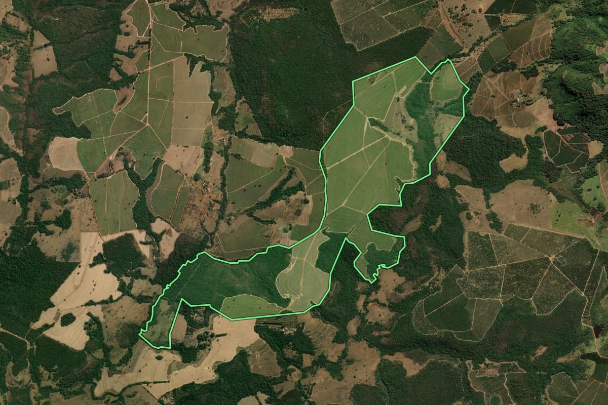 Imagem de satélite do imóvel rural em Altinópolis (SP), com o contorno declarado no CAR desenhado por cima.