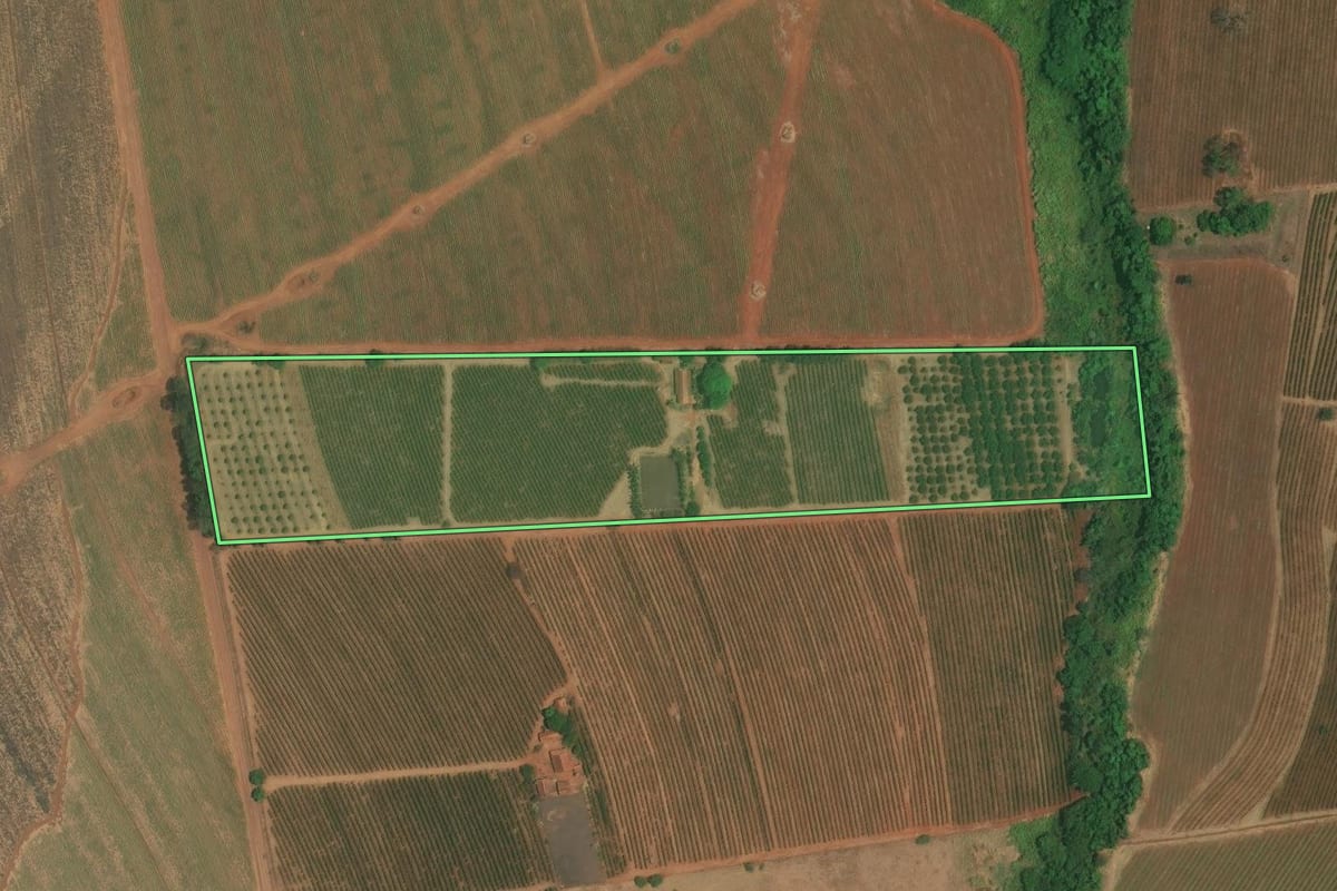 Imagem de satélite do imóvel rural em Altinópolis (SP), com o contorno declarado no CAR desenhado por cima.