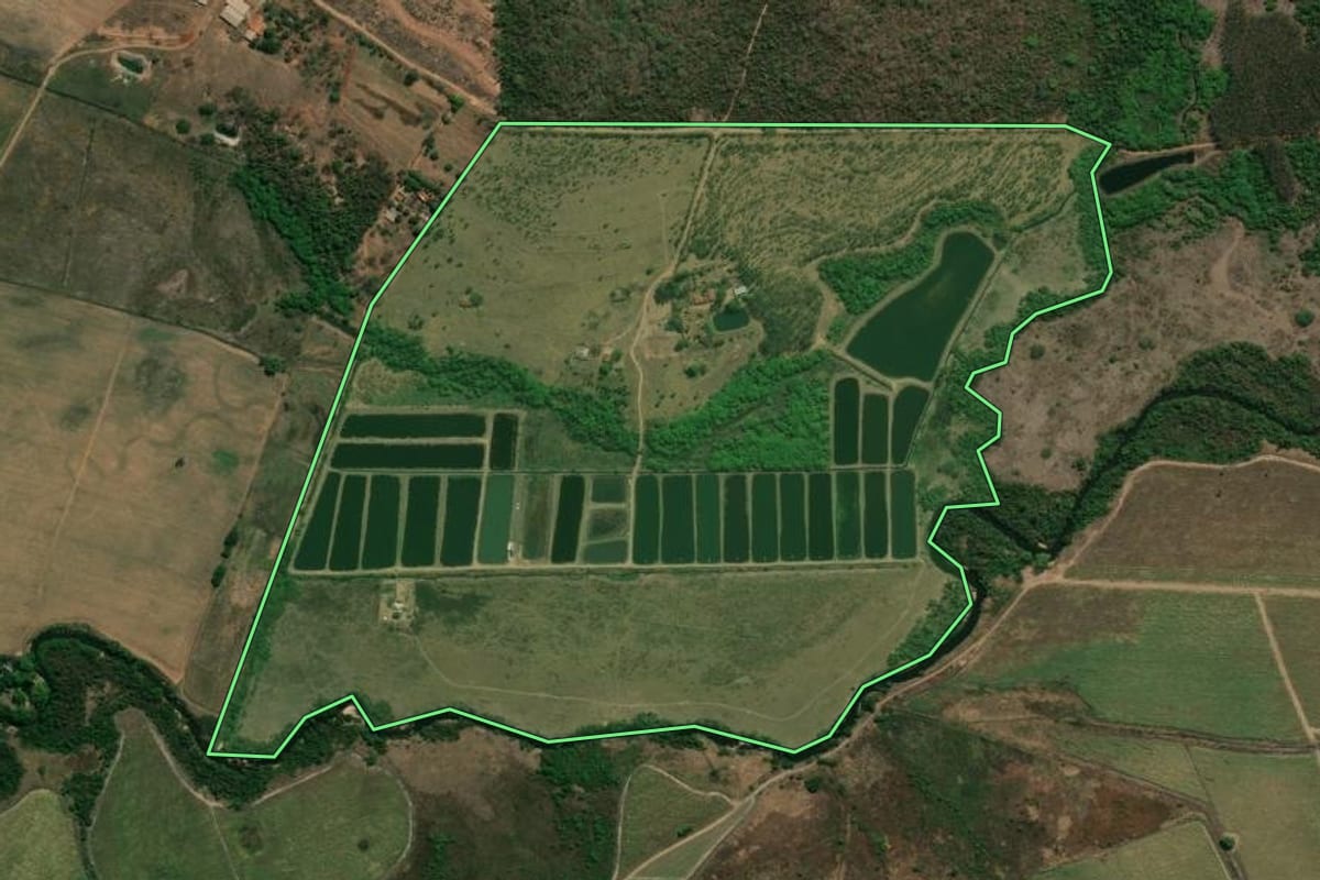 Imagem de satélite do imóvel rural em Altinópolis (SP), com o contorno declarado no CAR desenhado por cima.