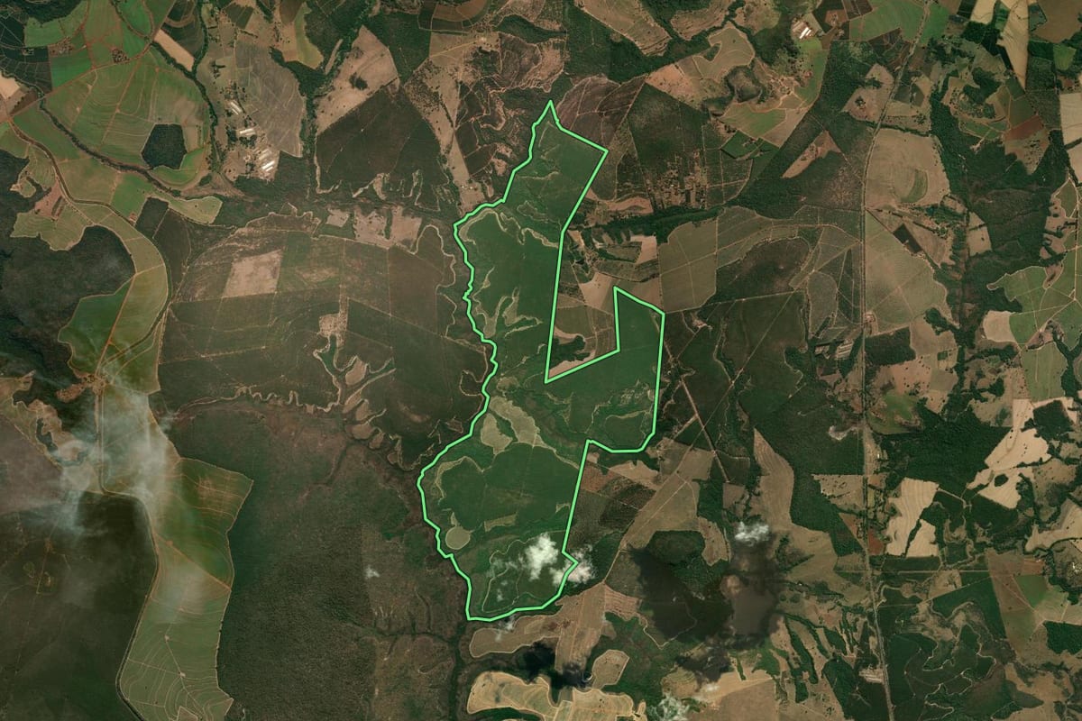 Imagem de satélite do imóvel rural em Altinópolis (SP), com o contorno declarado no CAR desenhado por cima.