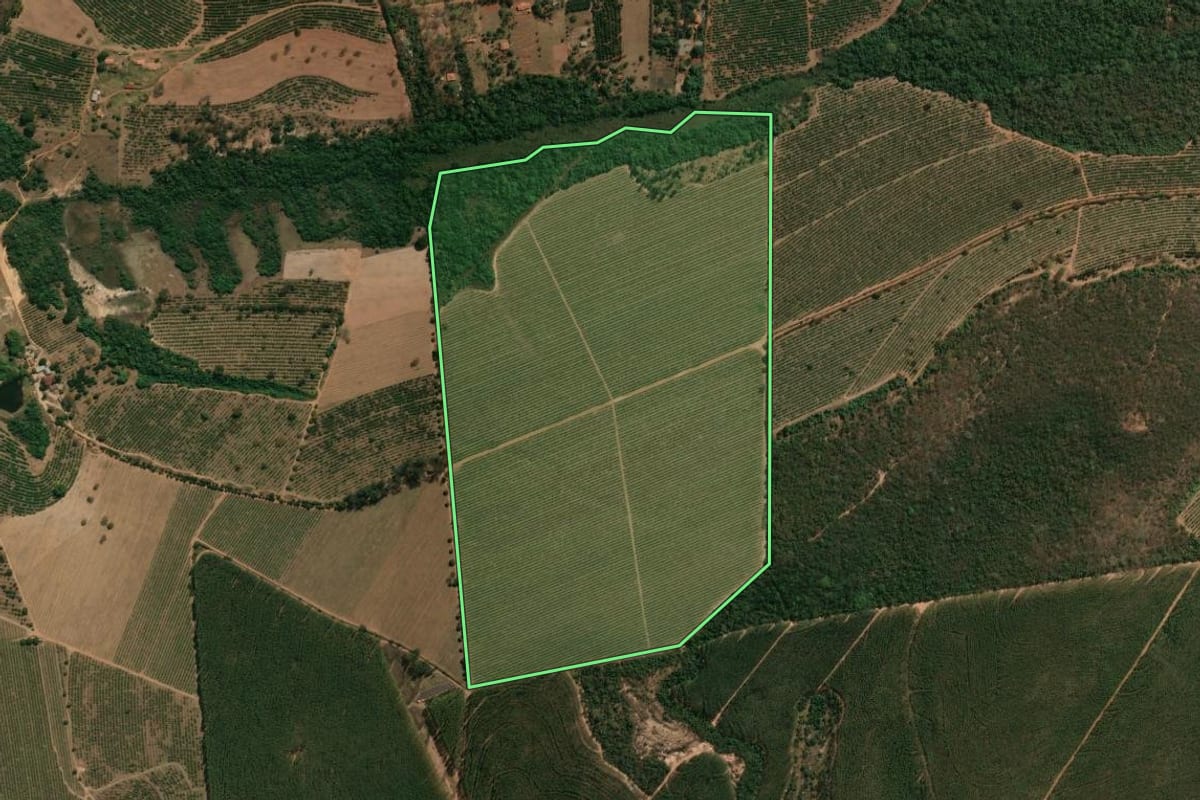 Imagem de satélite do imóvel rural em Altinópolis (SP), com o contorno declarado no CAR desenhado por cima.