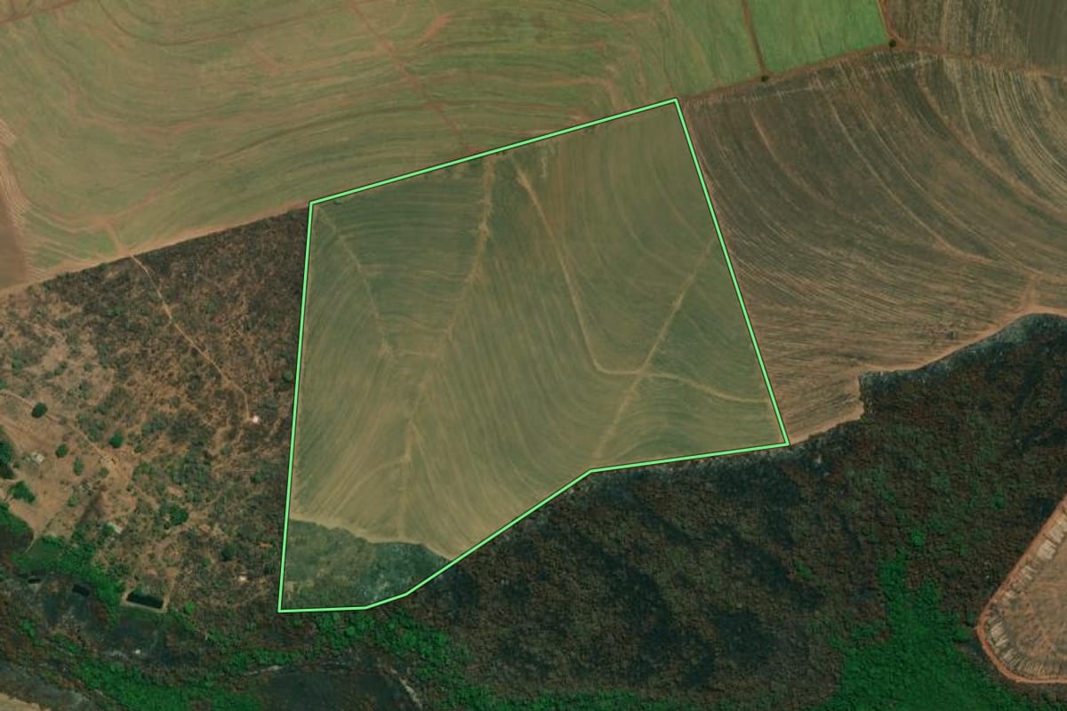 Imagem de satélite do imóvel rural em Altinópolis (SP), com o contorno declarado no CAR desenhado por cima.