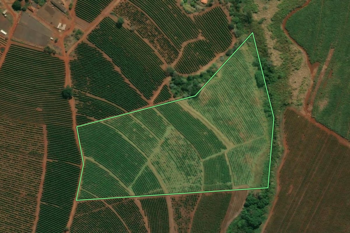 Imagem de satélite do imóvel rural em Altinópolis (SP), com o contorno declarado no CAR desenhado por cima.