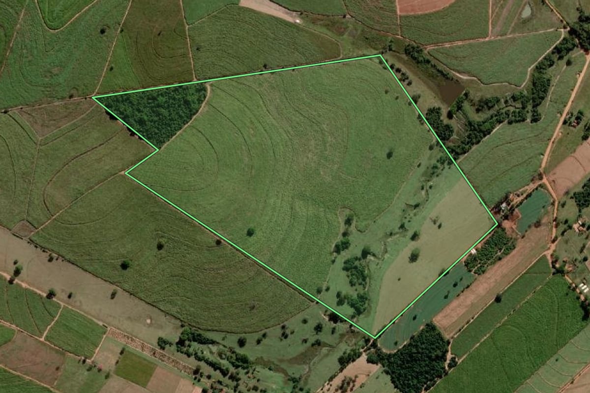 Imagem de satélite do imóvel rural em Alto Alegre (SP), com o contorno declarado no CAR desenhado por cima.