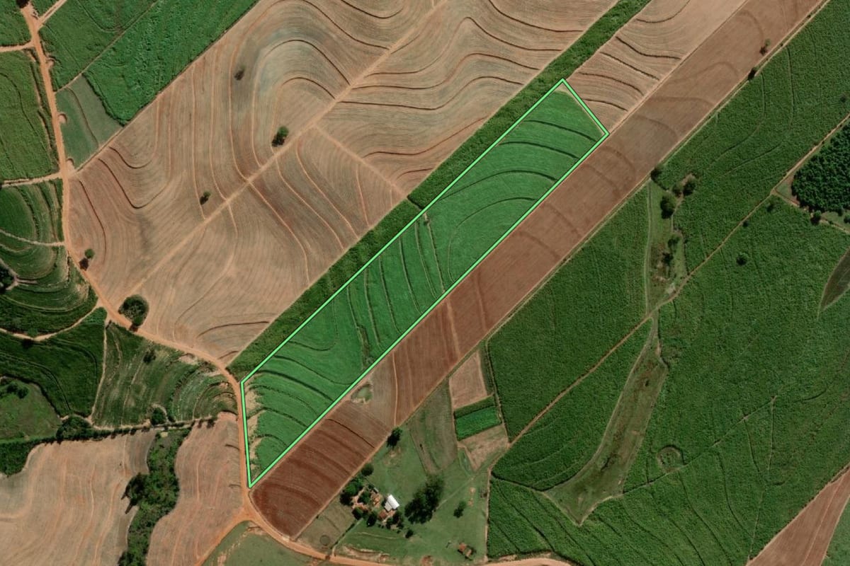 Imagem de satélite do imóvel rural em Alto Alegre (SP), com o contorno declarado no CAR desenhado por cima.