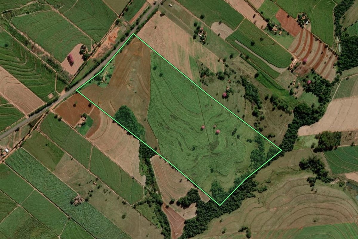 Imagem de satélite do imóvel rural em Alto Alegre (SP), com o contorno declarado no CAR desenhado por cima.